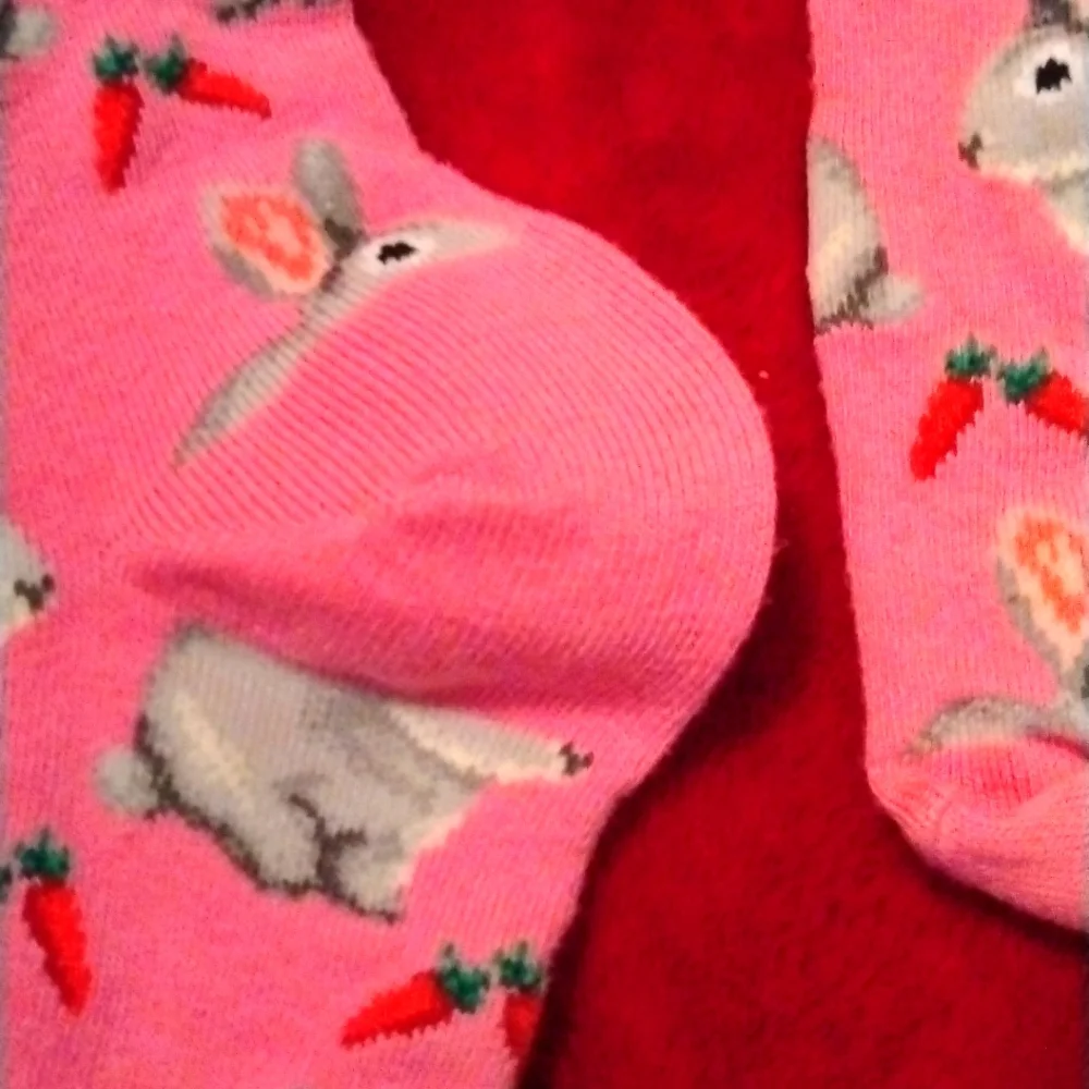 Bunnies trouser Socks Never been used - Picture 3 of 4
